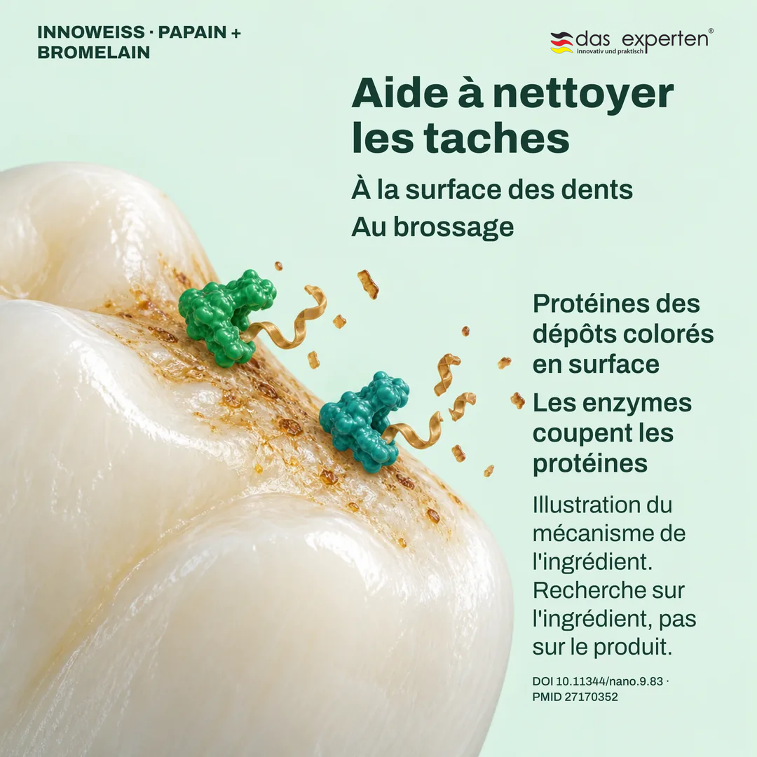Illustration d'enzymes coupant les protéines des dépôts colorés en surface des dents : aide à nettoyer les taches