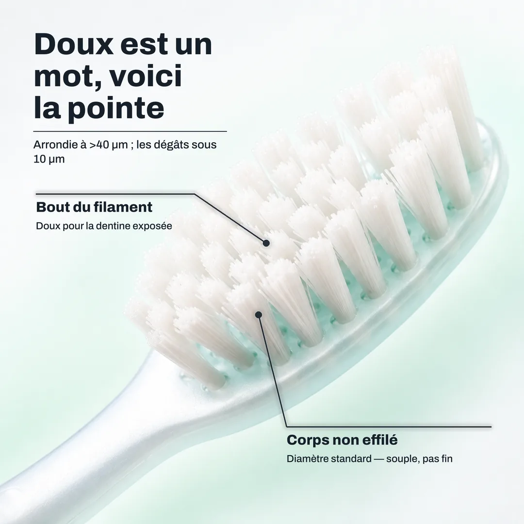 Doux est un mot, voici la pointe, Arrondie à >40 μm ; les dégâts sous 10 μm · Bout du filament: Doux pour la dentine exposée · Corps non effilé: Diamètre standard, souple, pas fin
