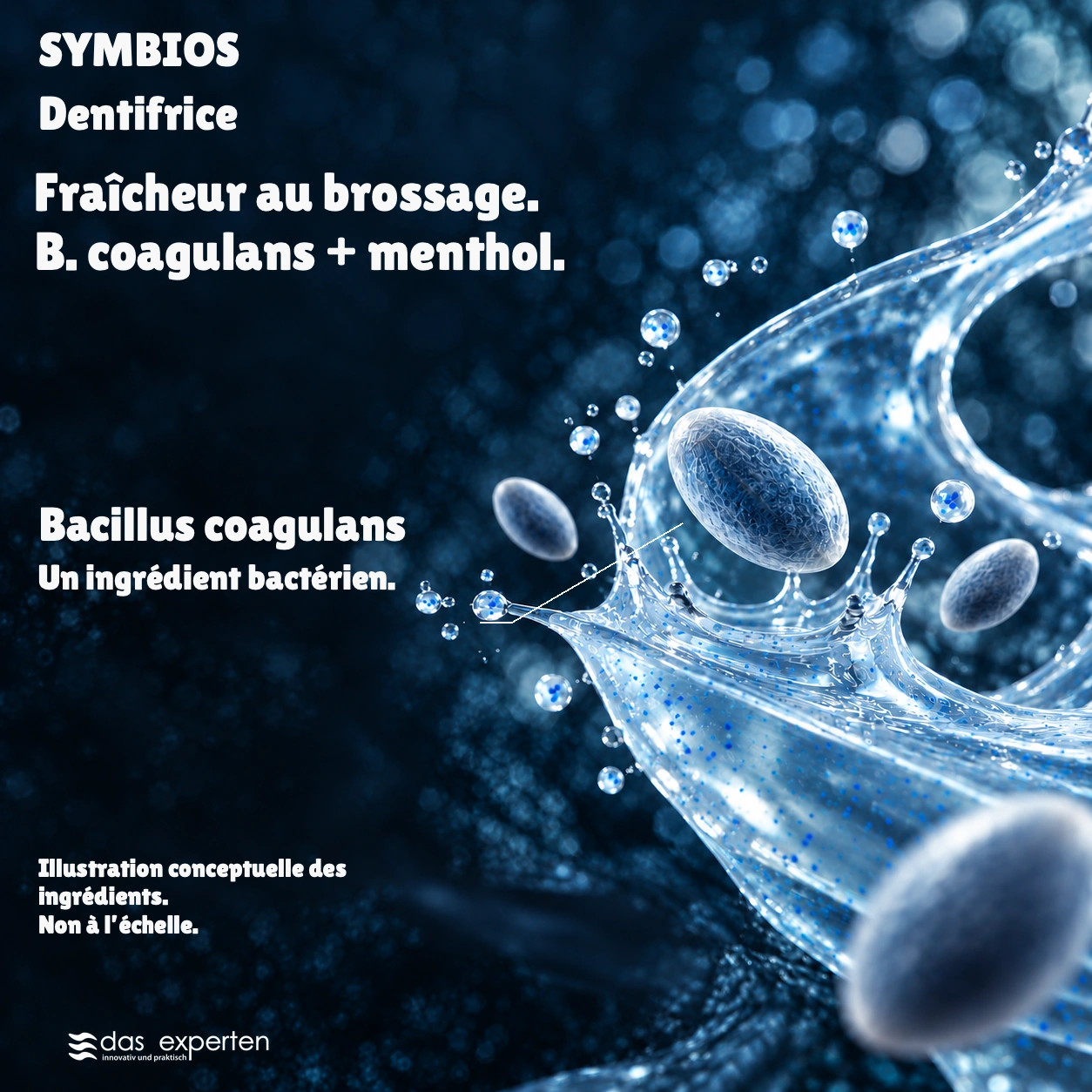 SYMBIOS · Fraîcheur au brossage. · B. coagulans + menthol. · Illustration conceptuelle des ingrédients. · Non à l’échelle.