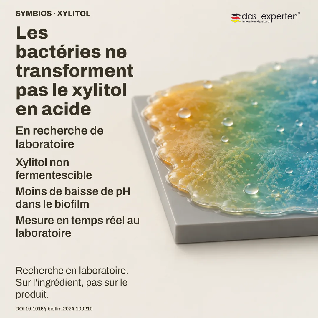 Biofilm schématique sur une surface neutre : la baisse de pH est moindre en présence de xylitol, mesure de laboratoire
