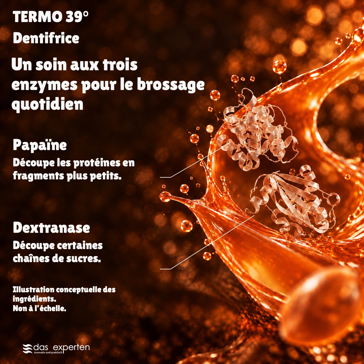 TERMO 39° · Un soin aux trois enzymes · pour le brossage quotidien · Illustration conceptuelle des ingrédients. · Non à l’échelle.