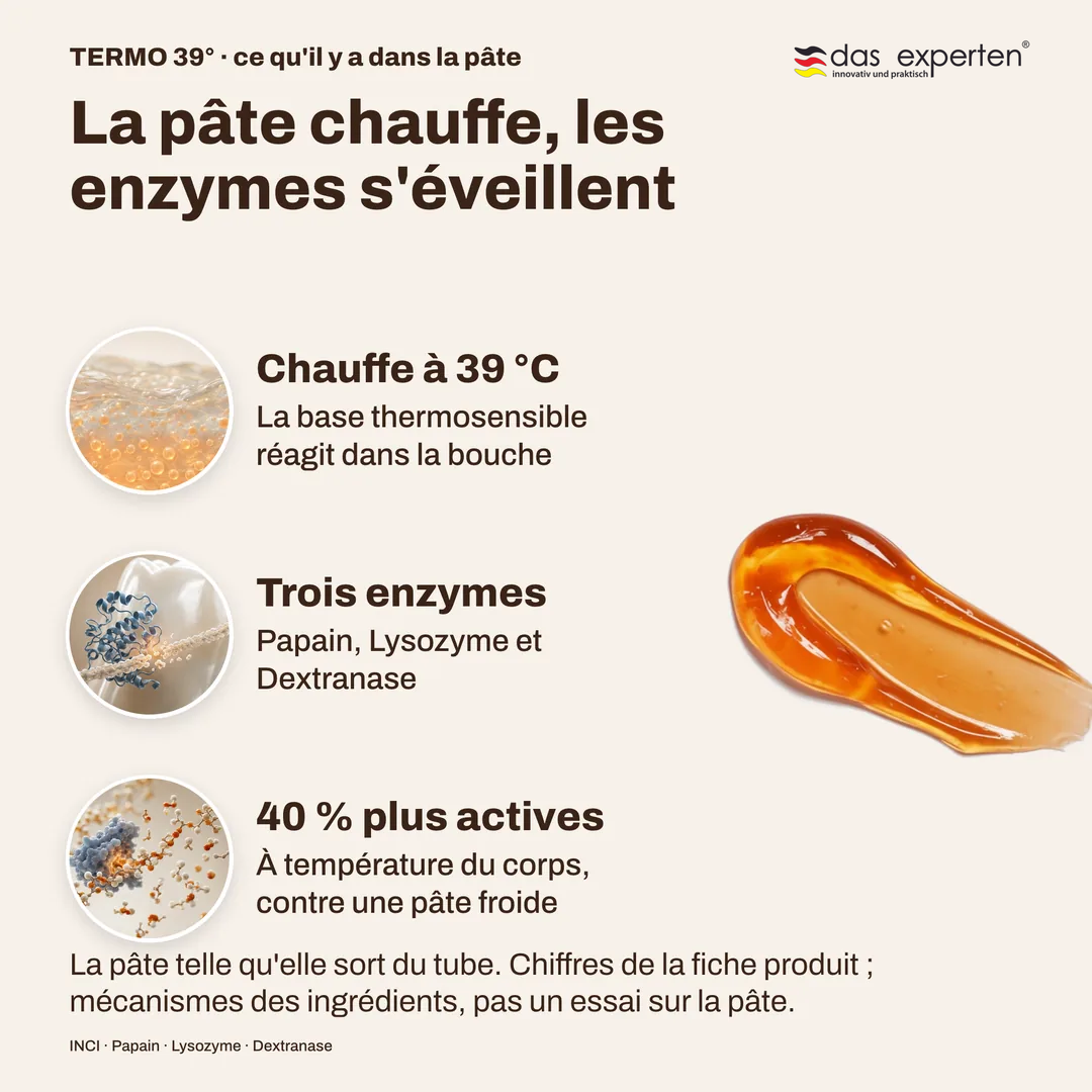 La pâte chauffe, les enzymes s'éveillent, Chauffe à 39 °C; Trois enzymes; 40 % plus actives