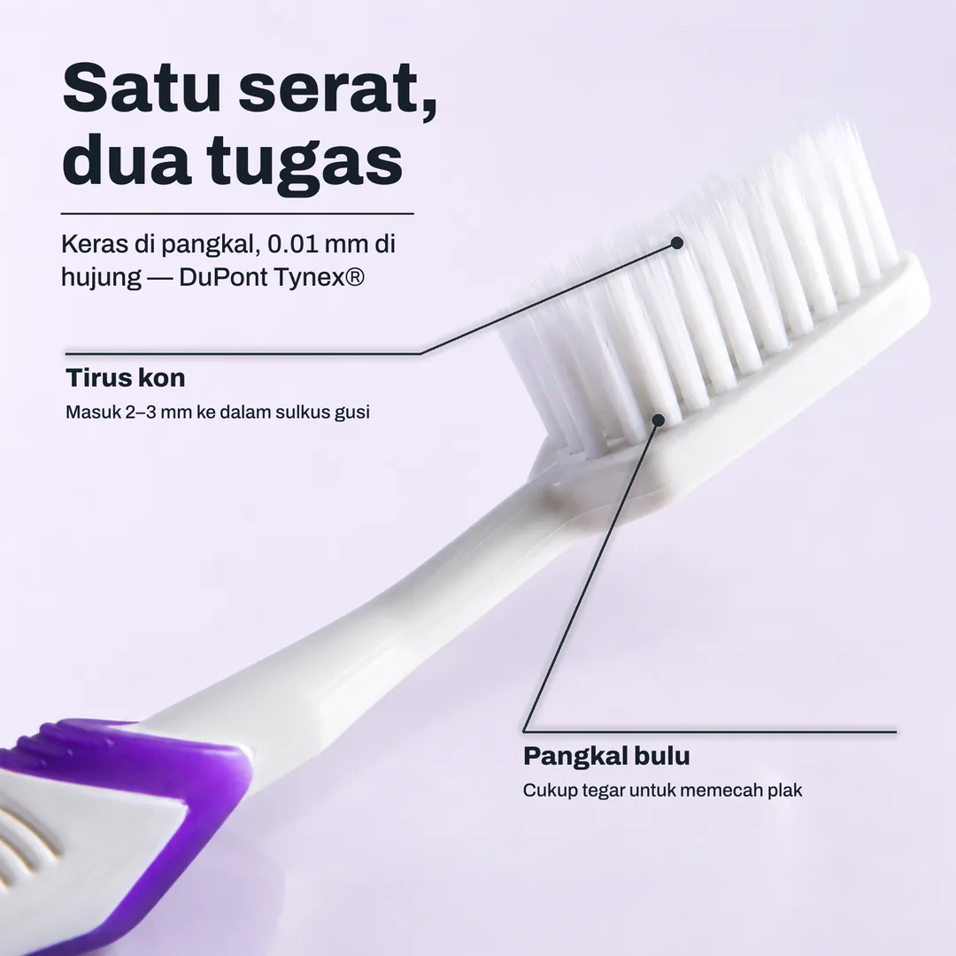 Satu serat, dua tugas, Keras di pangkal, 0.01 mm di hujung, DuPont Tynex® · Tirus kon: Masuk 2 hingga 3 mm ke dalam sulkus gusi · Pangkal bulu: Cukup tegar untuk memecah plak