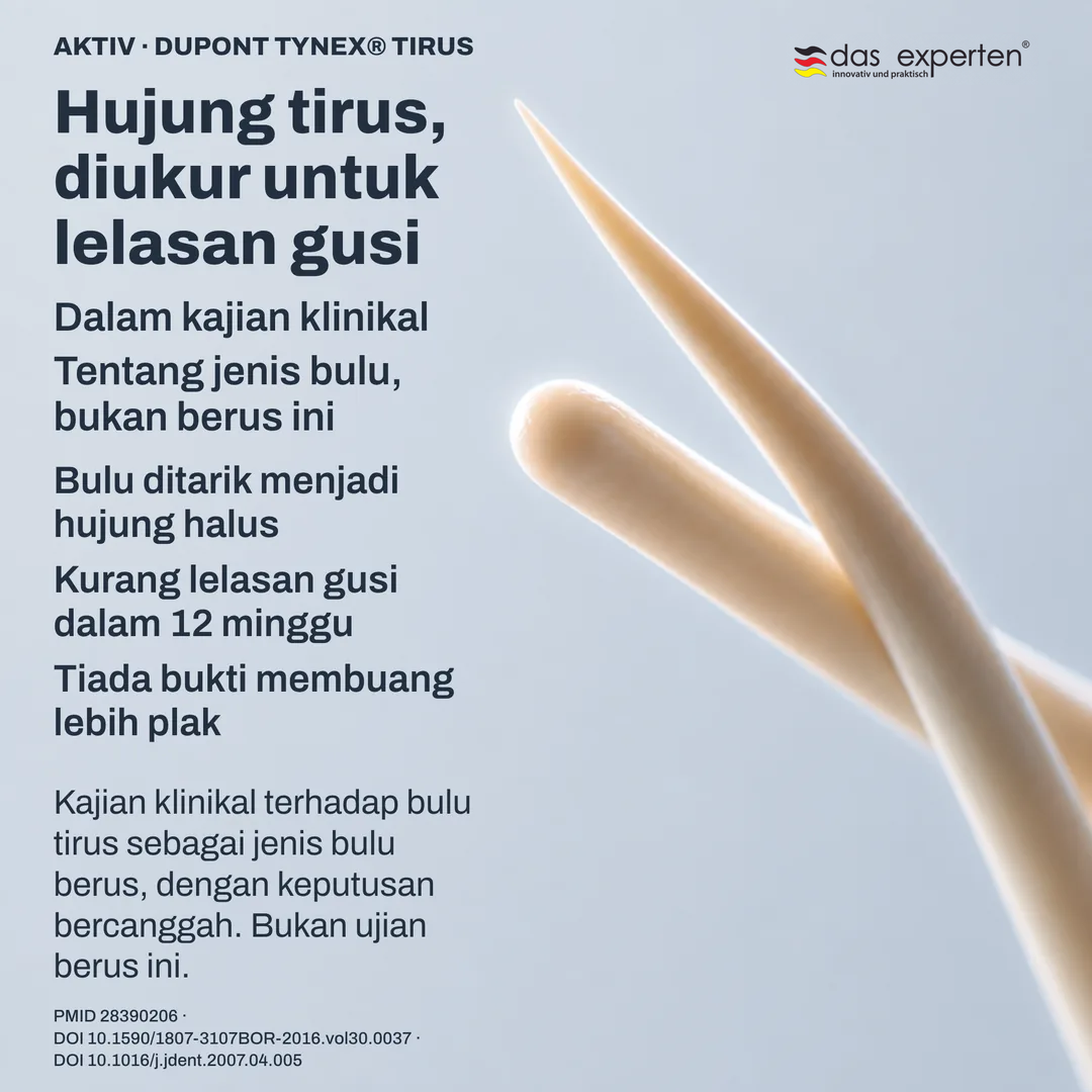 Kajian geometri bulu: profil hujung tirus di sebelah hujung bulat, lakaran skematik pada skala bukan sebenar