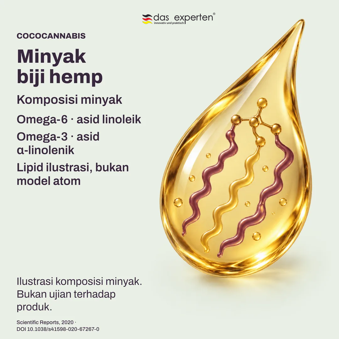 Ilustrasi titisan minyak biji hemp dengan komponen omega 6 dan omega 3 dalam komposisi minyak