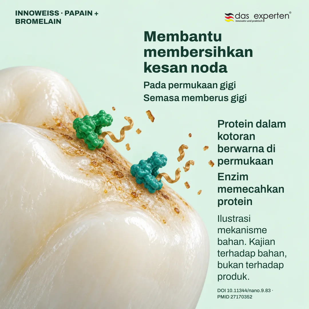 Ilustrasi papain dan bromelain memecahkan protein dalam noda permukaan gigi semasa memberus