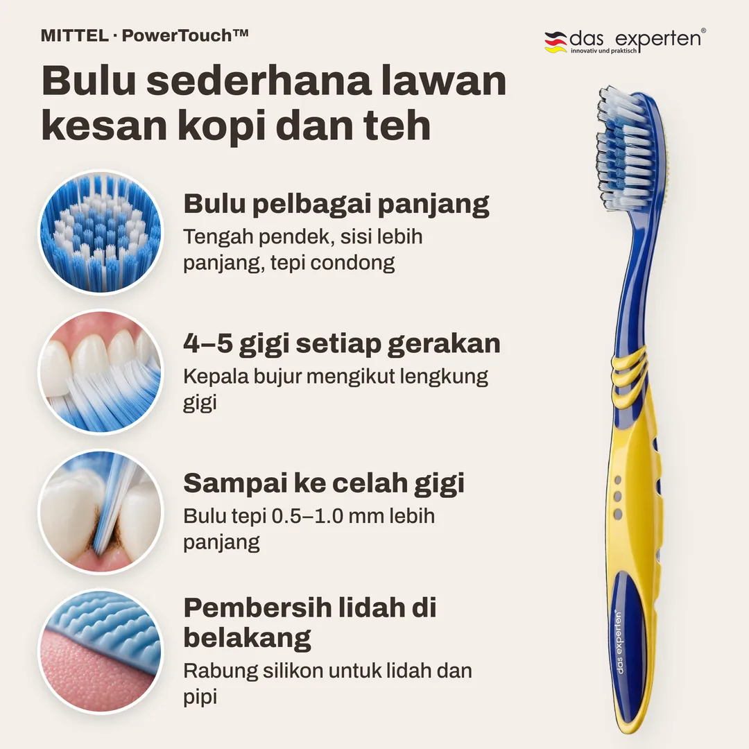 Bulu sederhana lawan kesan kopi dan teh, Bulu pelbagai panjang; 4 hingga 5 gigi setiap gerakan; Sampai ke celah gigi; Pembersih lidah di belakang