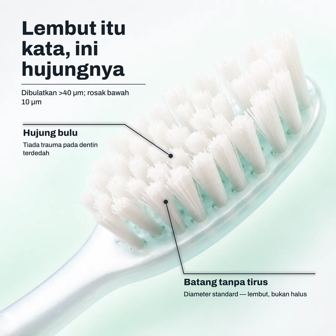 Lembut itu kata, ini hujungnya, Dibulatkan >40 μm; rosak bawah 10 μm · Hujung bulu: Tiada trauma pada dentin terdedah · Batang tanpa tirus: Diameter standard, lembut, bukan halus