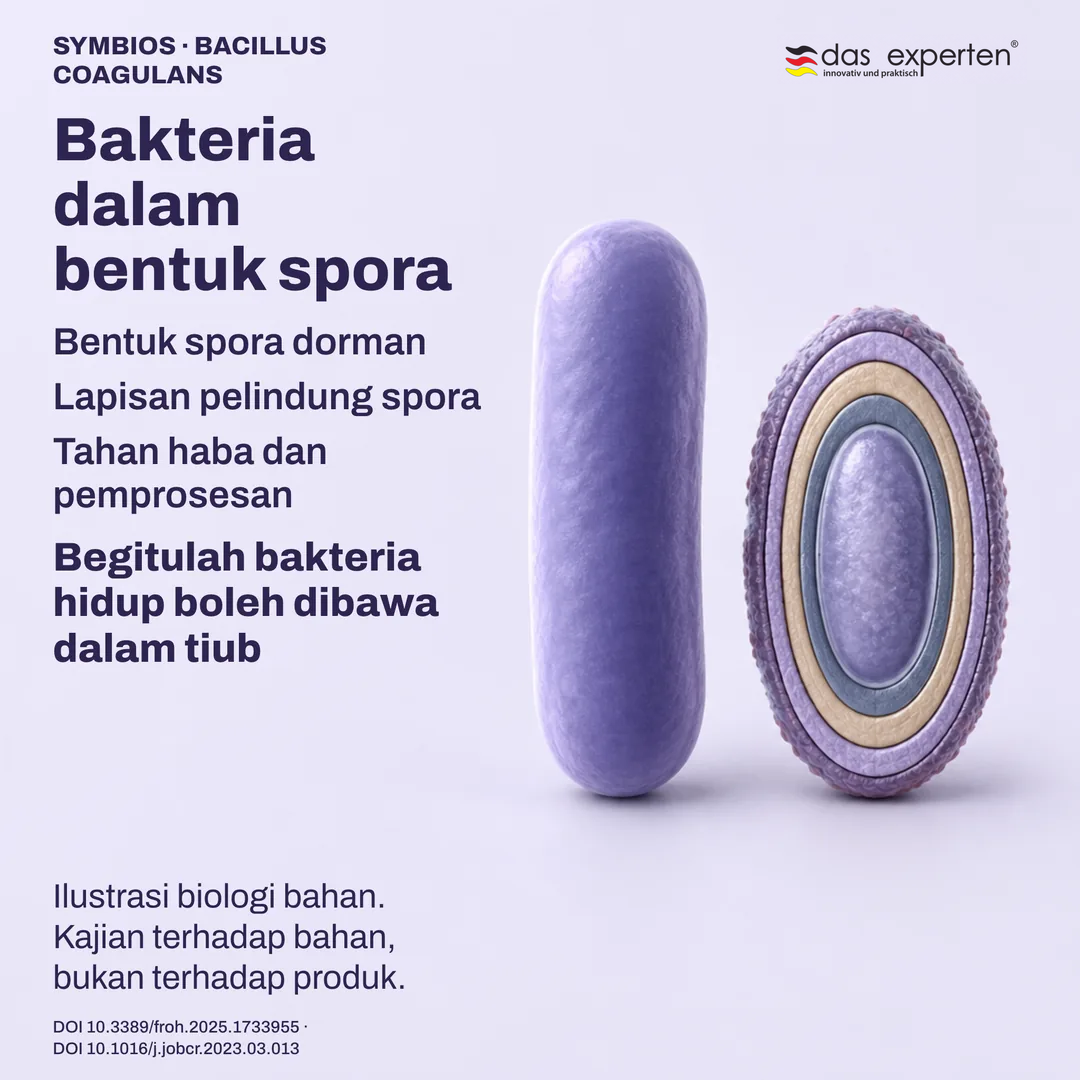 Ilustrasi spora dorman dengan lapisan pelindung di sebelah sel vegetatif: biologi bahan
