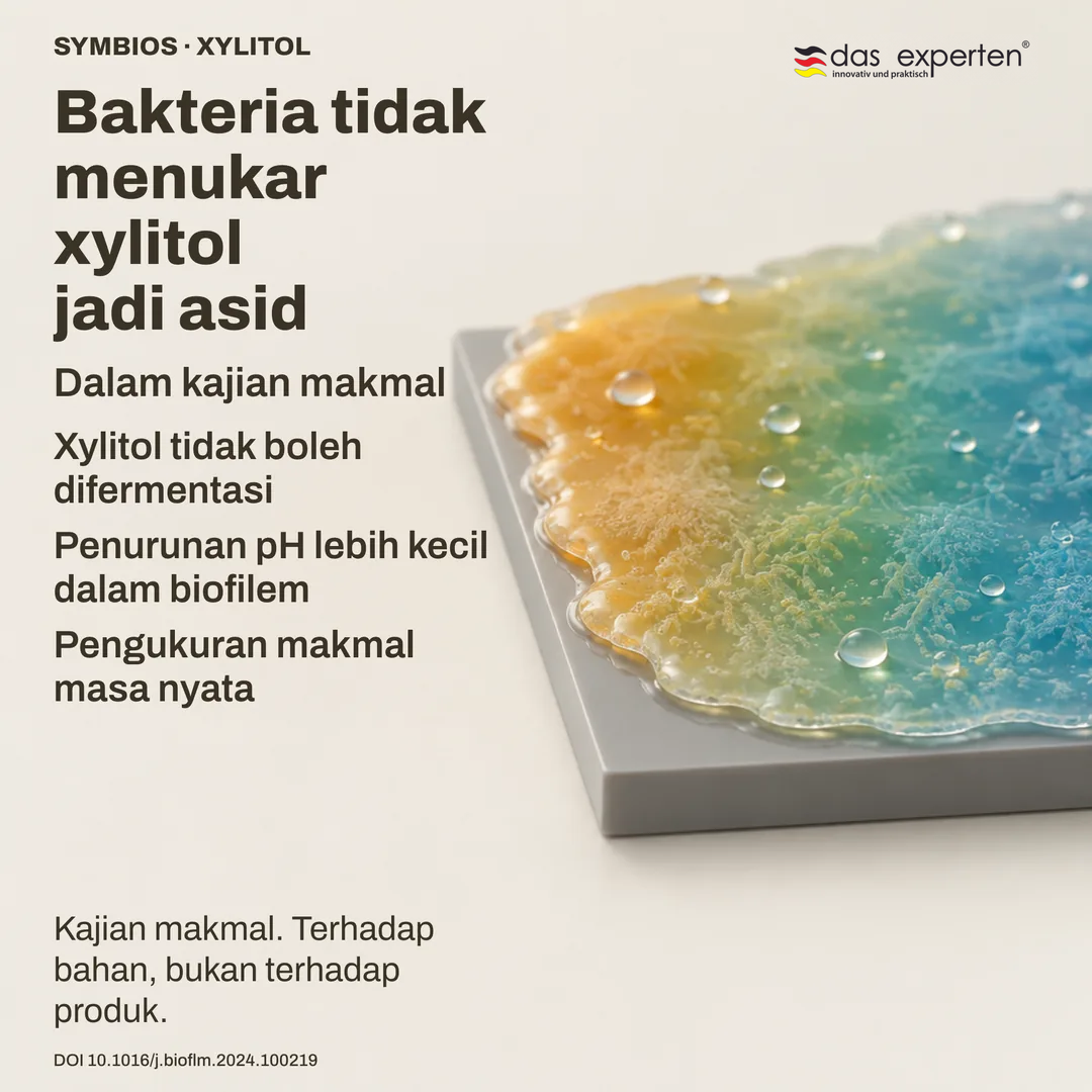 Ilustrasi biofilem pada permukaan neutral: dengan xylitol pH turun lebih sedikit, pengukuran makmal