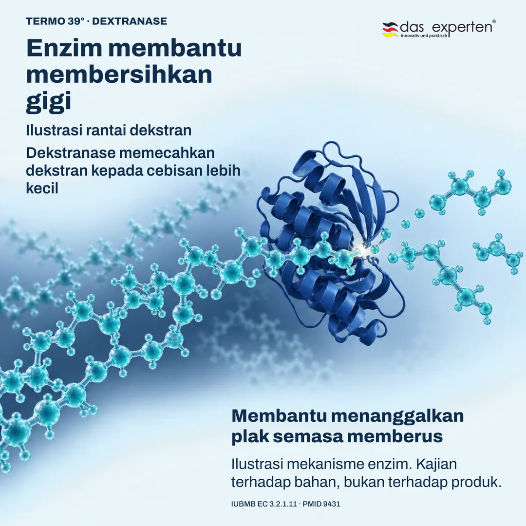 Ilustrasi dekstranase memecahkan rantai dekstran: enzim membantu menanggalkan plak semasa memberus