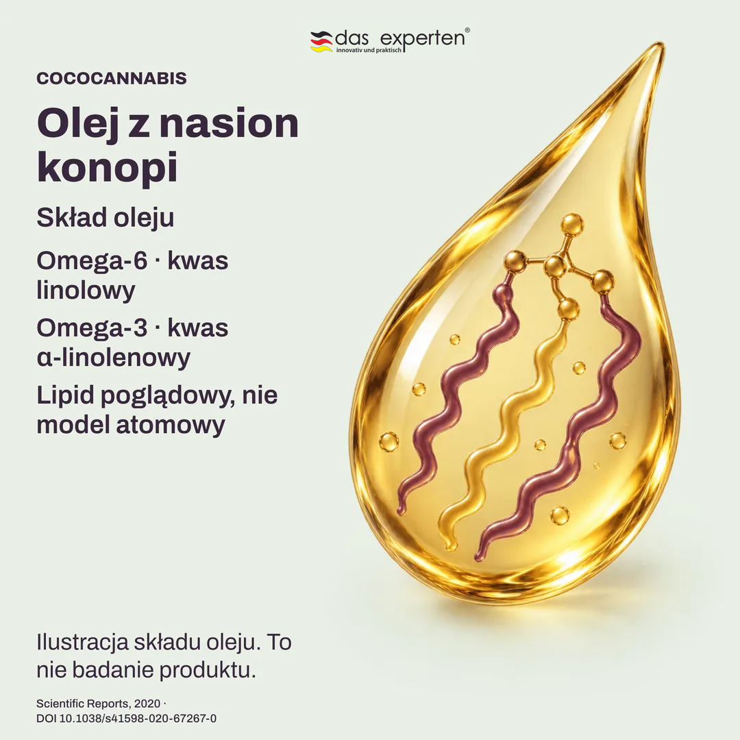 Poglądowe lipidy oleju z nasion konopi: kwas linolowy omega 6 i kwas α linolenowy omega 3 w składzie oleju