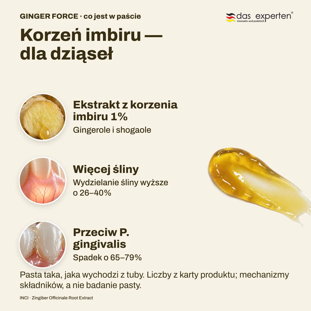 Korzeń imbiru, dla dziąseł, Ekstrakt z korzenia imbiru 1%; Więcej śliny; Przeciw P. gingivalis