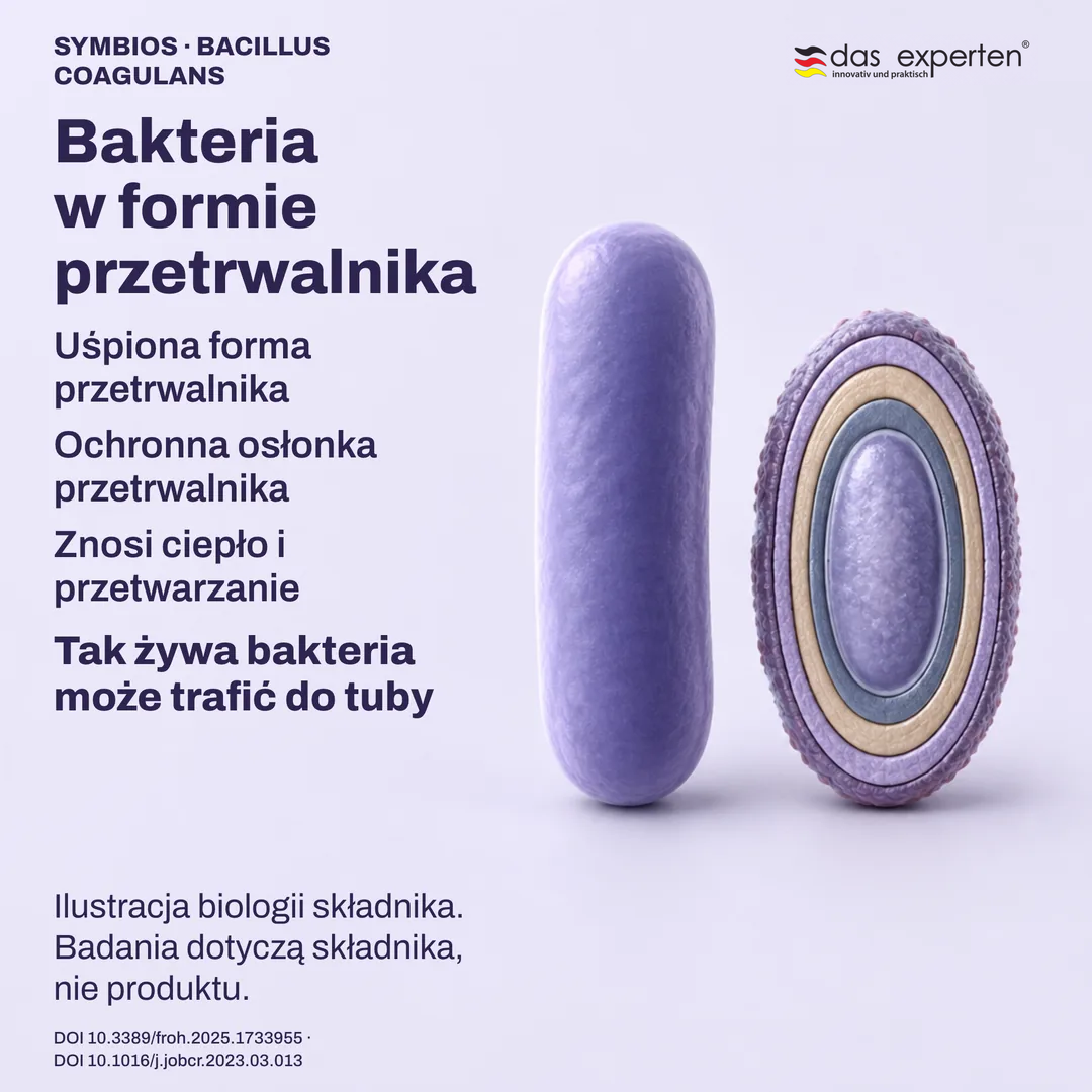 Poglądowy uśpiony przetrwalnik z osłonką ochronną obok formy wegetatywnej, ilustracja biologii składnika