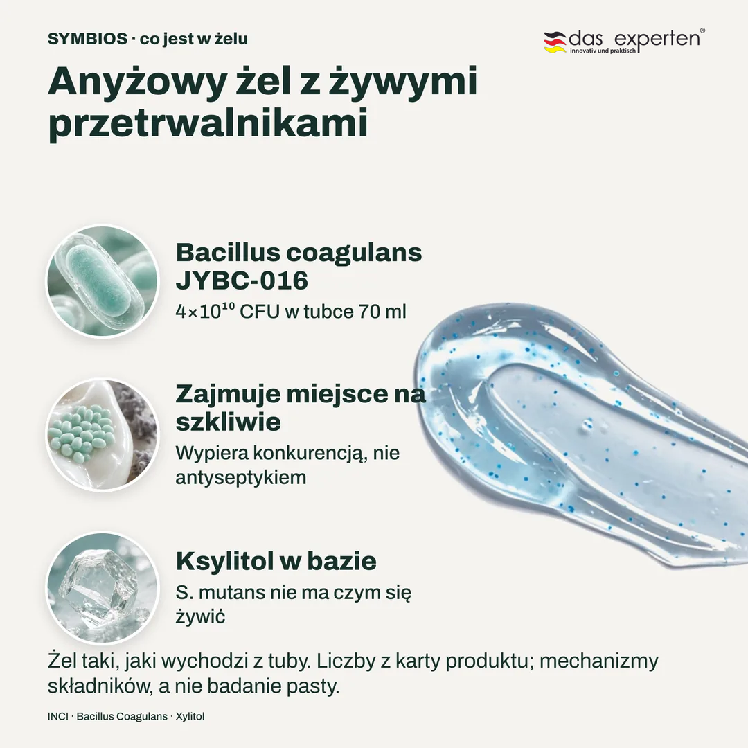 Anyżowy żel z żywymi przetrwalnikami, Bacillus coagulans JYBC 016; Zajmuje miejsce na szkliwie; Ksylitol w bazie