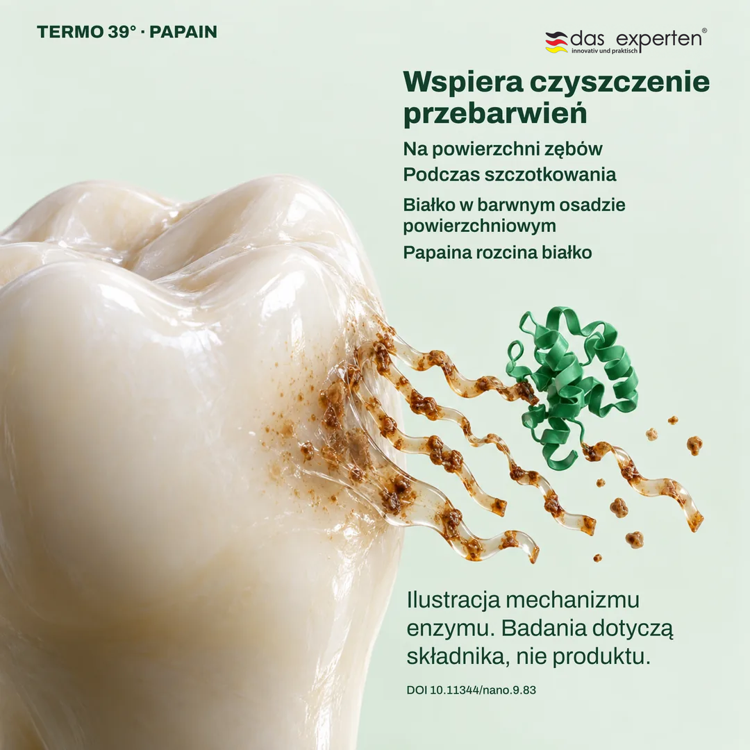 Ilustracja: papaina rozcina białko w barwnym osadzie na powierzchni zęba; wspiera czyszczenie przebarwień