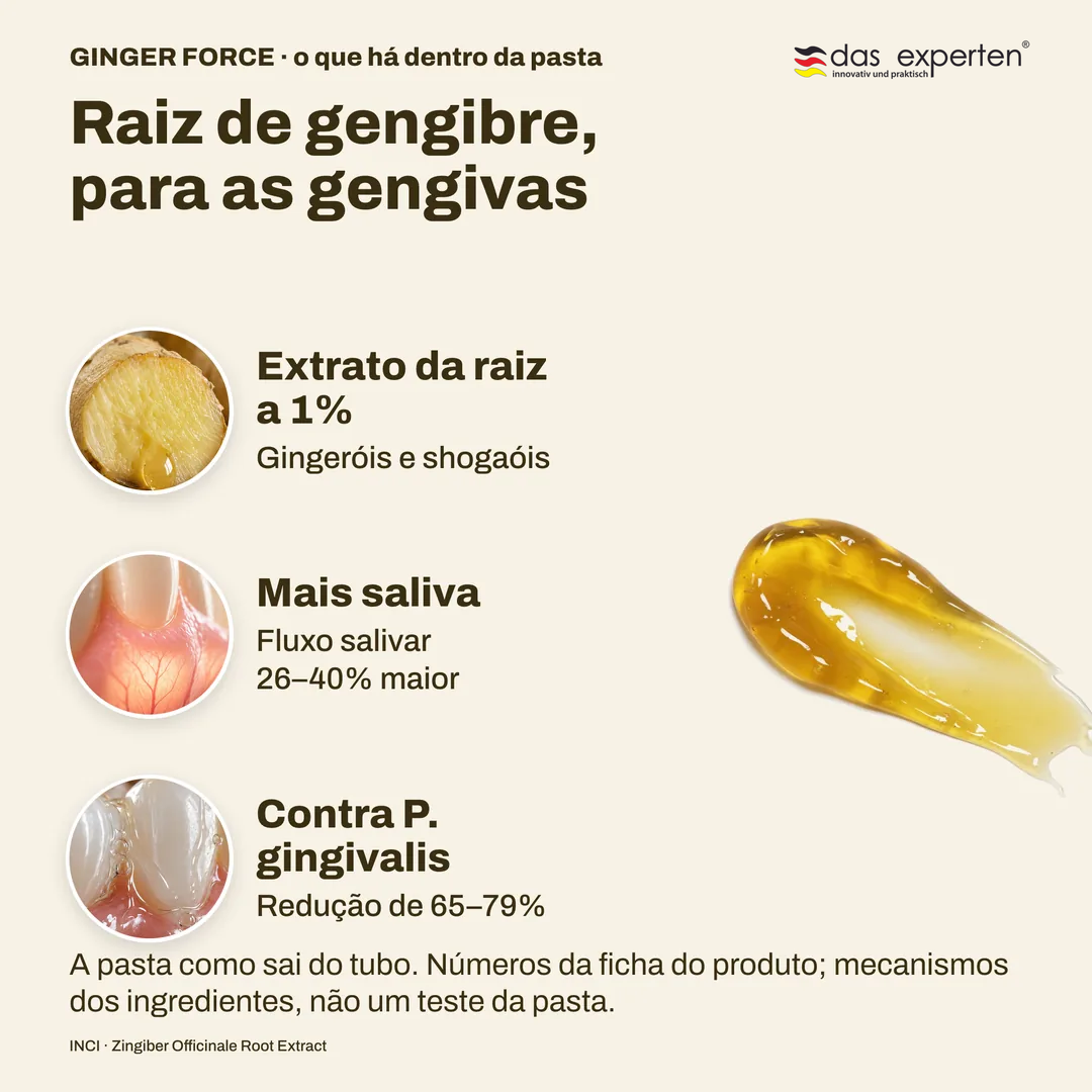 Raiz de gengibre, para as gengivas, Extrato da raiz a 1%; Mais saliva; Contra P. gingivalis