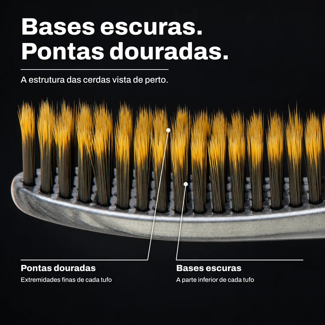 Bases escuras. Pontas douradas. A estrutura das cerdas vista de perto. Pontas douradas: Extremidades finas de cada tufo. Bases escuras: A parte inferior de cada tufo.