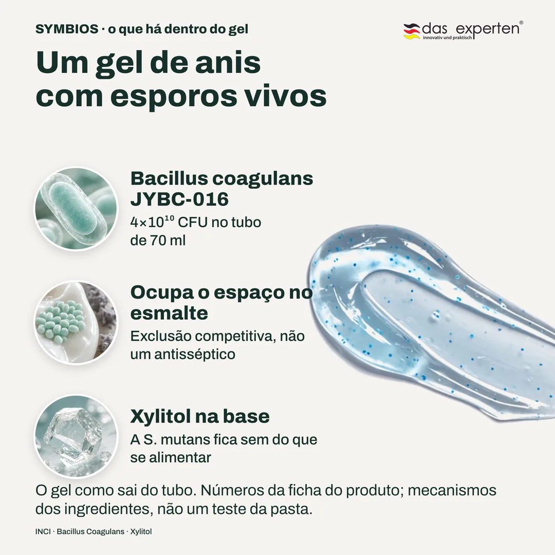 Um gel de anis com esporos vivos, Bacillus coagulans JYBC 016; Ocupa o espaço no esmalte; Xylitol na base