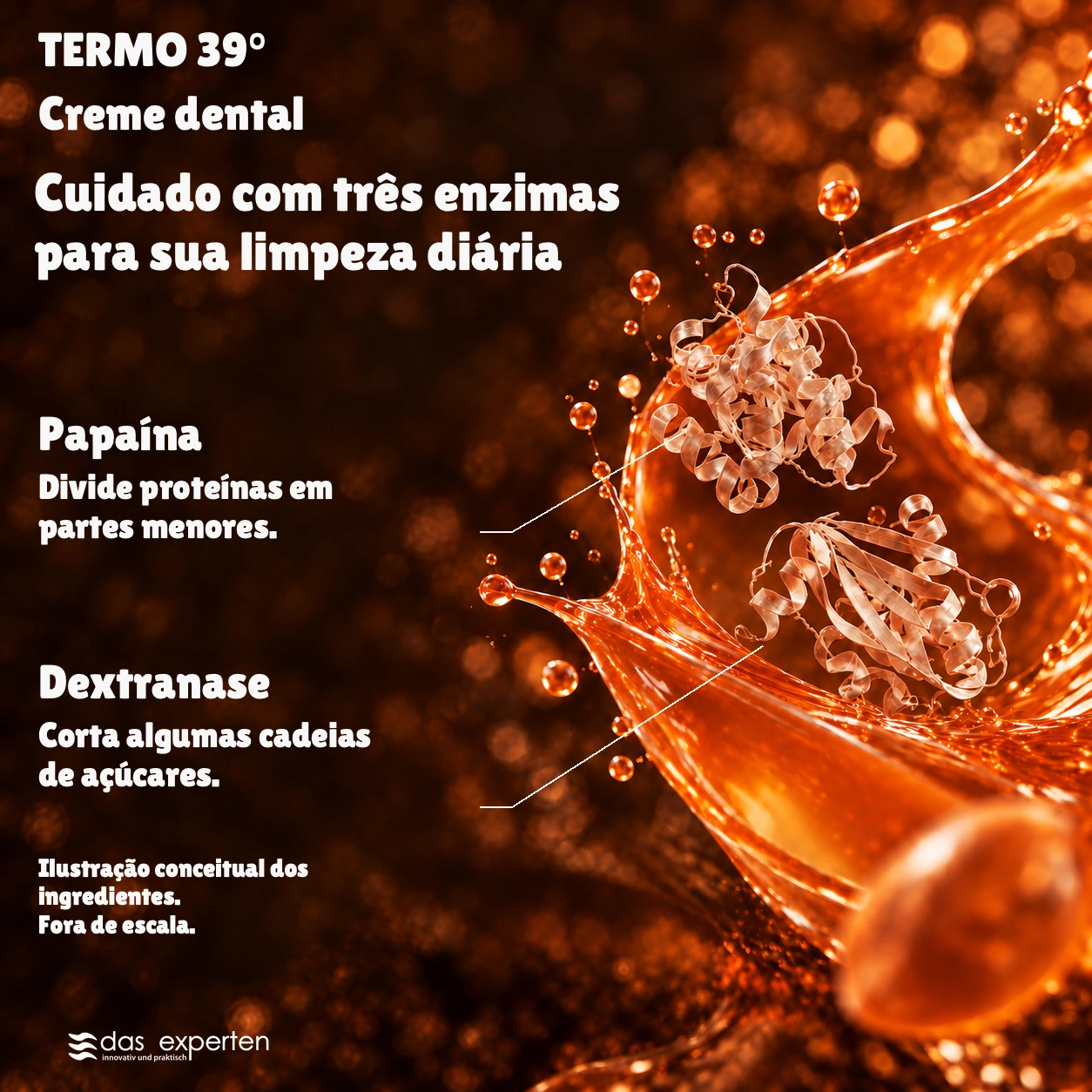 TERMO 39° · Cuidado com três enzimas · para sua limpeza diária · Ilustração conceitual dos ingredientes. · Fora de escala.