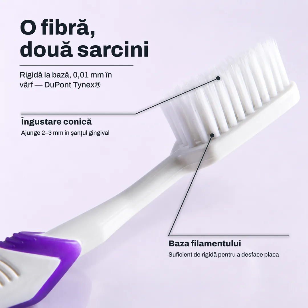 O fibră, două sarcini, Rigidă la bază, 0,01 mm în vârf, DuPont Tynex® · Îngustare conică: Ajunge 2 până la 3 mm în șanțul gingival · Baza filamentului: Suficient de rigidă pentru a desface placa