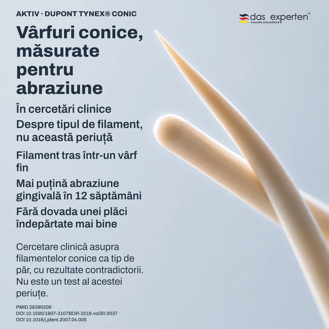 Studiu de geometrie: profilul unui vârf conic lângă unul rotunjit, contururi schematice la scară nefidelă