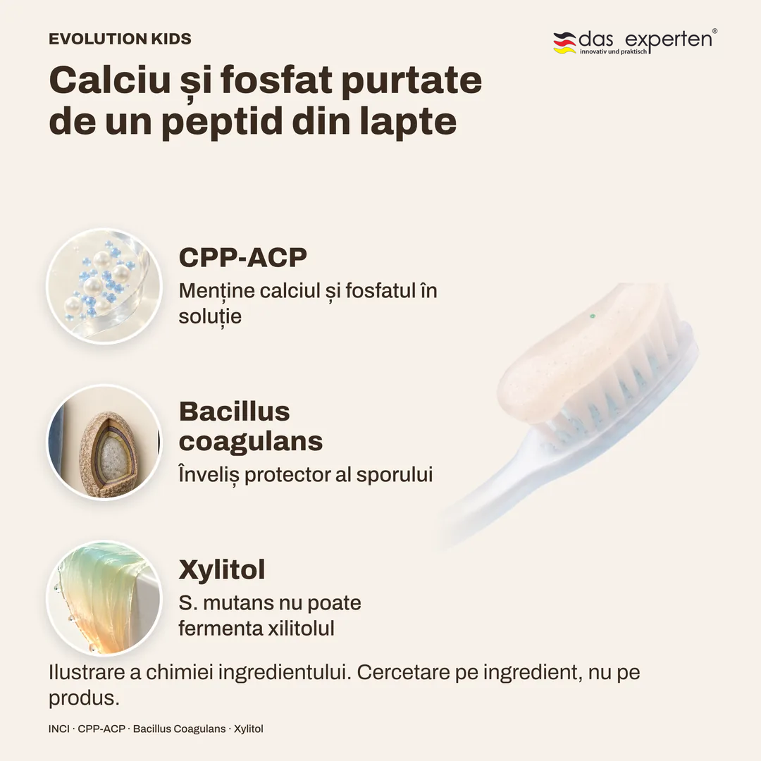 Calciu și fosfat purtate de un peptid din lapte · Bacillus coagulans · Xylitol