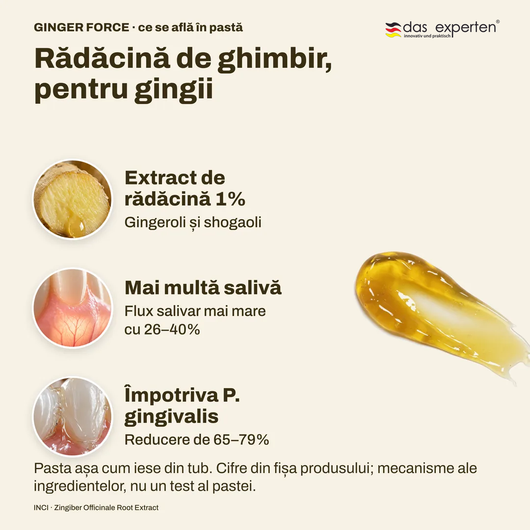 Rădăcină de ghimbir, pentru gingii, Extract de rădăcină 1%; Mai multă salivă; Împotriva P. gingivalis