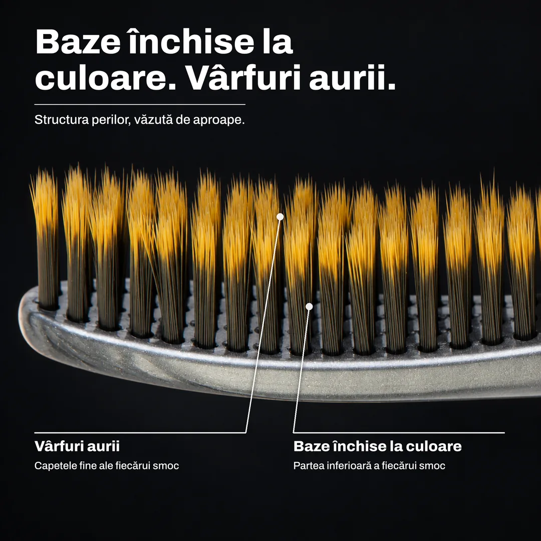 Baze închise la culoare. Vârfuri aurii. Structura perilor, văzută de aproape. Vârfuri aurii: Capetele fine ale fiecărui smoc. Baze închise la culoare: Partea inferioară a fiecărui smoc.