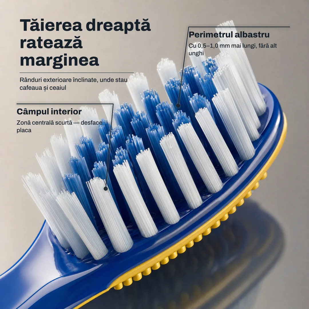 Tăierea dreaptă ratează marginea, Rânduri exterioare înclinate, unde stau cafeaua și ceaiul · Perimetrul albastru: Cu 0,5 până la 1,0 mm mai lungi, fără alt unghi · Câmpul interior: Zonă centrală scurtă, desface placa