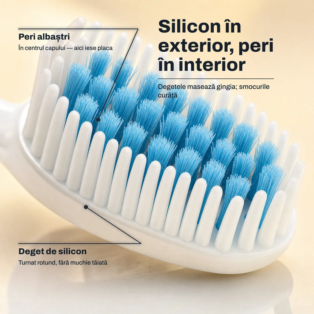Silicon în exterior, peri în interior, Degetele masează gingia; smocurile curăță · Deget de silicon: Turnat rotund, fără muchie tăiată · Peri albaștri: În centrul capului, aici iese placa