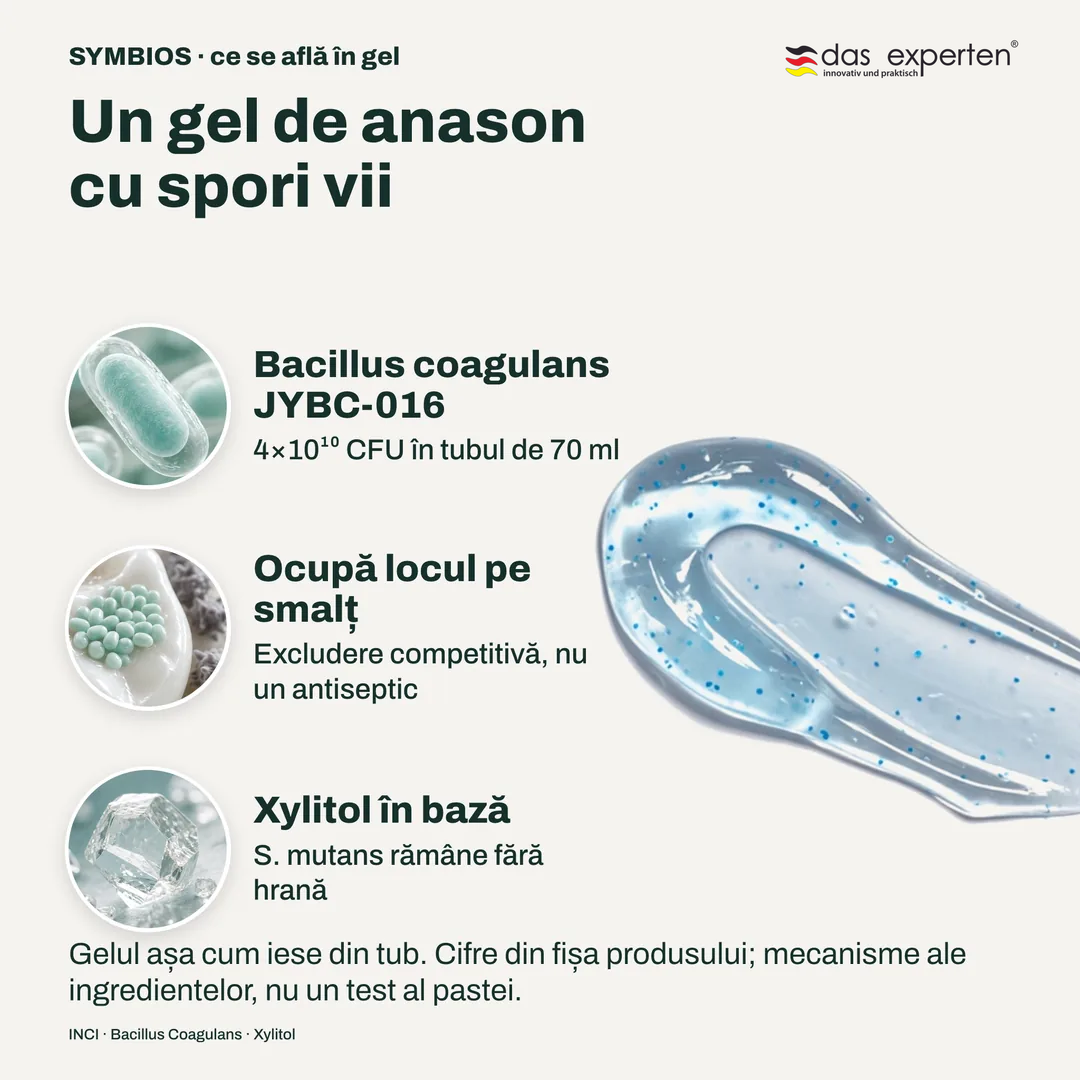 Un gel de anason cu spori vii, Bacillus coagulans JYBC 016; Ocupă locul pe smalț; Xylitol în bază