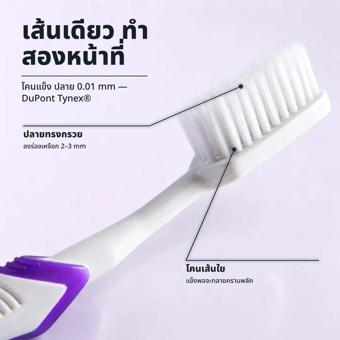 เส้นเดียว ทำสองหน้าที่, โคนแข็ง ปลาย 0.01 mm, DuPont Tynex® · ปลายทรงกรวย: ลงร่องเหงือก 2 ถึง 3 mm · โคนเส้นใย: แข็งพอจะทลายคราบพลัค