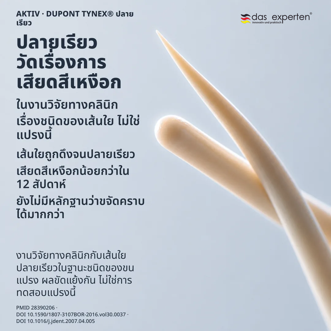 ภาพศึกษารูปทรงเส้นใย ปลายเรียวหนึ่งเส้นเทียบกับปลายมนหนึ่งเส้น เป็นเส้นร่างในมาตราส่วนไม่จริง