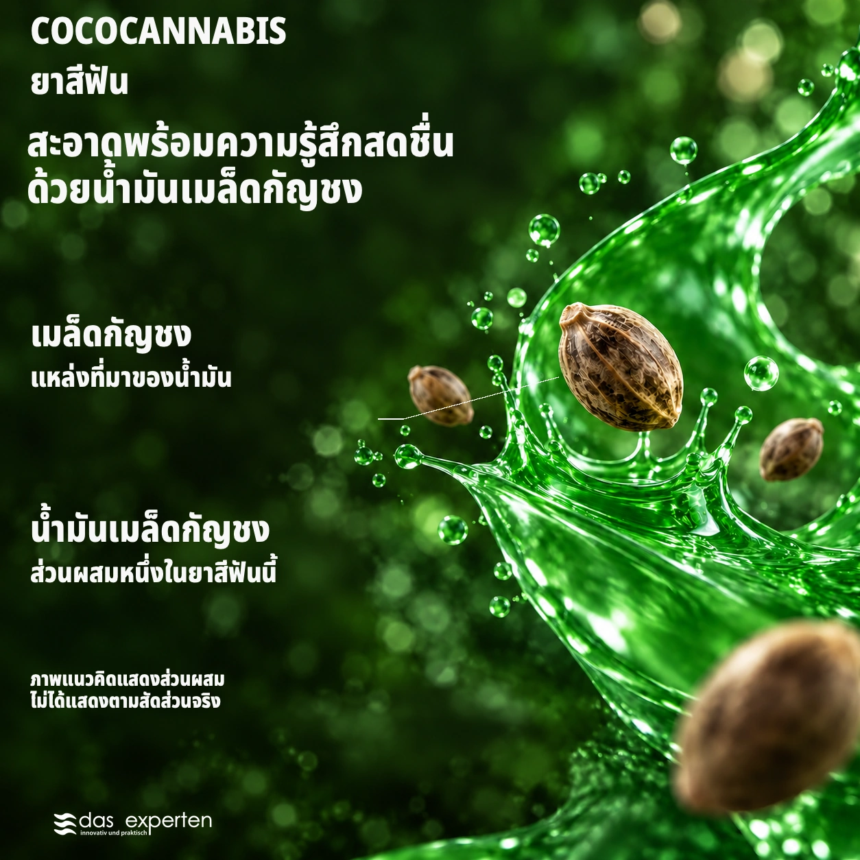 COCOCANNABIS · สะอาดพร้อมความรู้สึกสดชื่น · ด้วยน้ำมันเมล็ดกัญชง · ภาพแนวคิดแสดงส่วนผสม · ไม่ได้แสดงตามสัดส่วนจริง