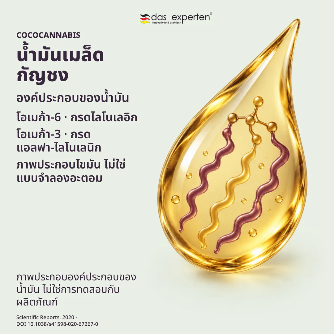 ภาพประกอบหยดน้ำมันเมล็ดกัญชงกับโอเมก้า 6 และโอเมก้า 3 ในองค์ประกอบของน้ำมัน