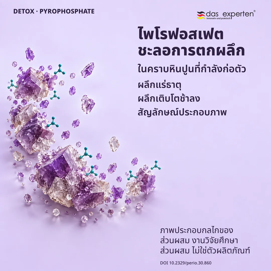 ภาพประกอบผลึกแร่ธาตุในคราบหินปูนที่กำลังก่อตัว ไพโรฟอสเฟตชะลอการเติบโตของผลึก