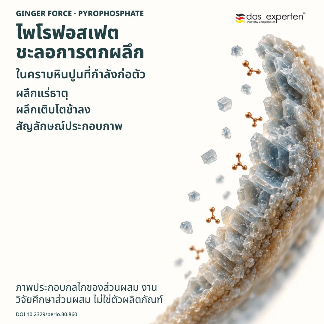 ภาพประกอบผลึกแร่ธาตุในคราบหินปูนที่กำลังก่อตัว ไพโรฟอสเฟตชะลอการเติบโตของผลึก