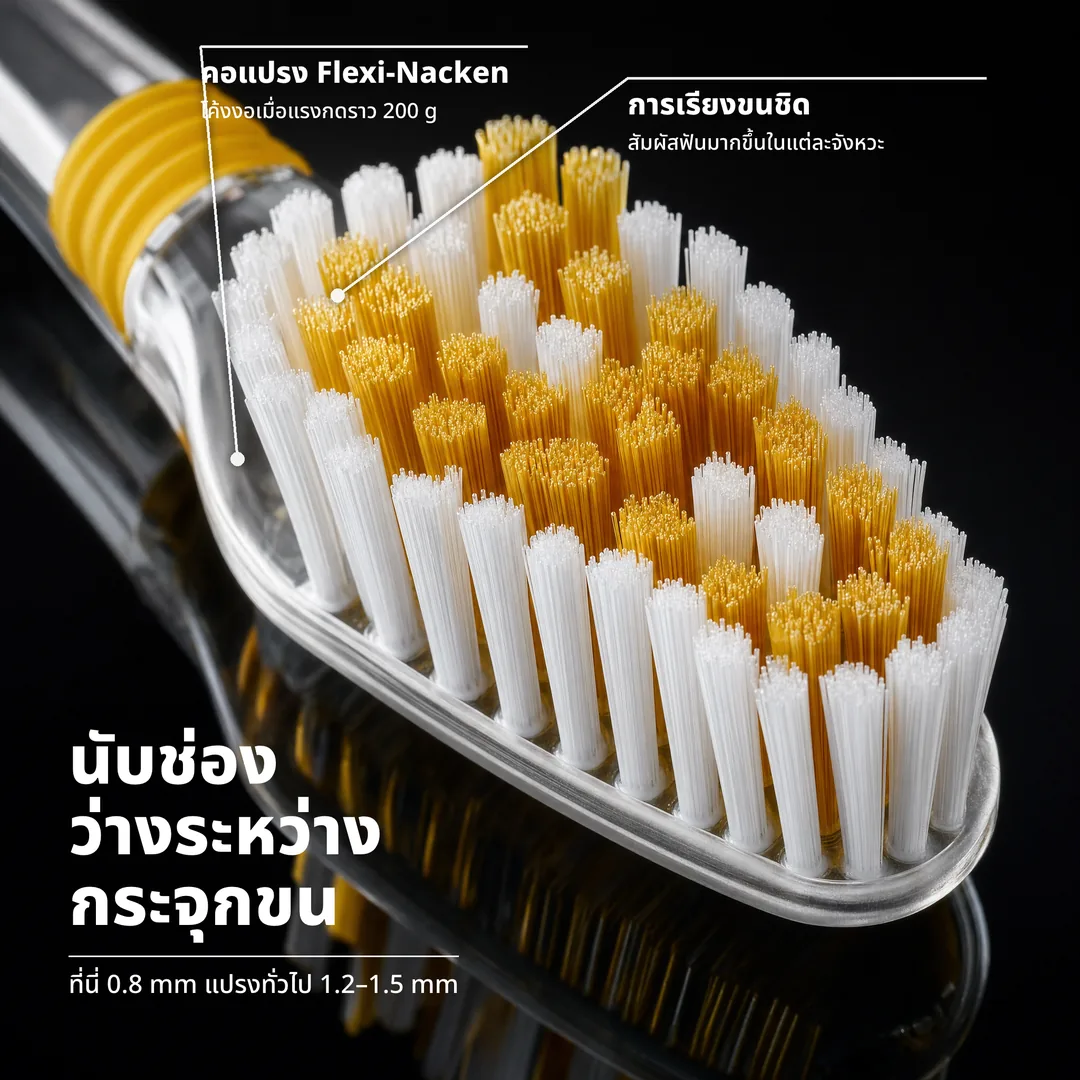 นับช่องว่างระหว่างกระจุกขน, ที่นี่ 0.8 mm แปรงทั่วไป 1.2 ถึง 1.5 mm · การเรียงขนชิด: สัมผัสฟันมากขึ้นในแต่ละจังหวะ · คอแปรง Flexi Nacken: โค้งงอเมื่อแรงกดราว 200 g