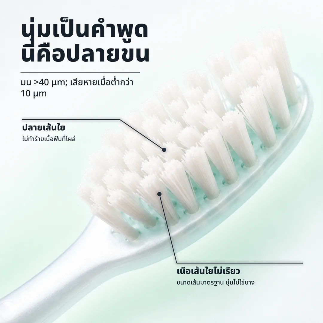 นุ่มเป็นคำพูด นี่คือปลายขน, มน >40 μm; เสียหายเมื่อต่ำกว่า 10 μm · ปลายเส้นใย: ไม่ทำร้ายเนื้อฟันที่โผล่ · เนื้อเส้นใยไม่เรียว: ขนาดเส้นมาตรฐาน นุ่มไม่ใช่บาง