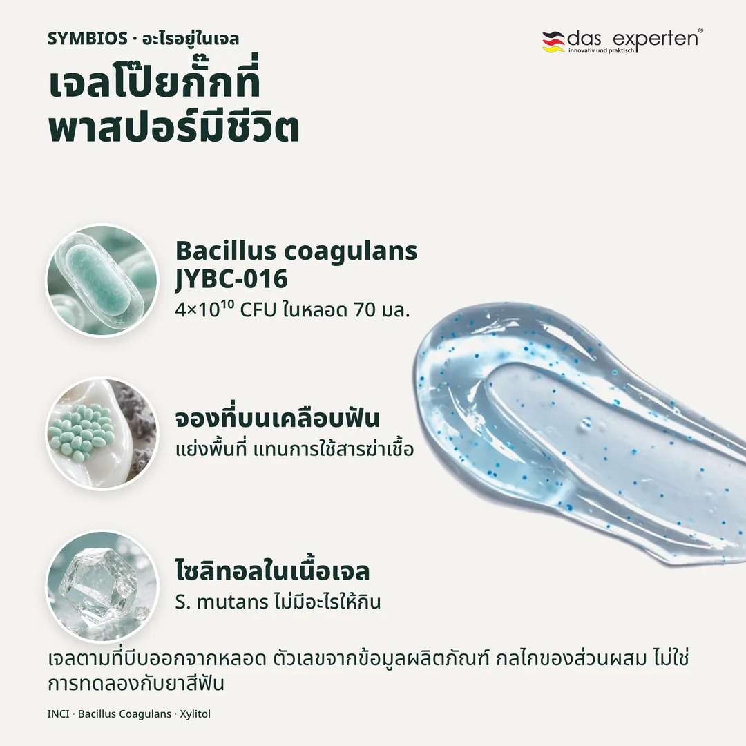 เจลโป๊ยกั๊กที่พาสปอร์มีชีวิต, Bacillus coagulans JYBC 016; จองที่บนเคลือบฟัน; ไซลิทอลในเนื้อเจล