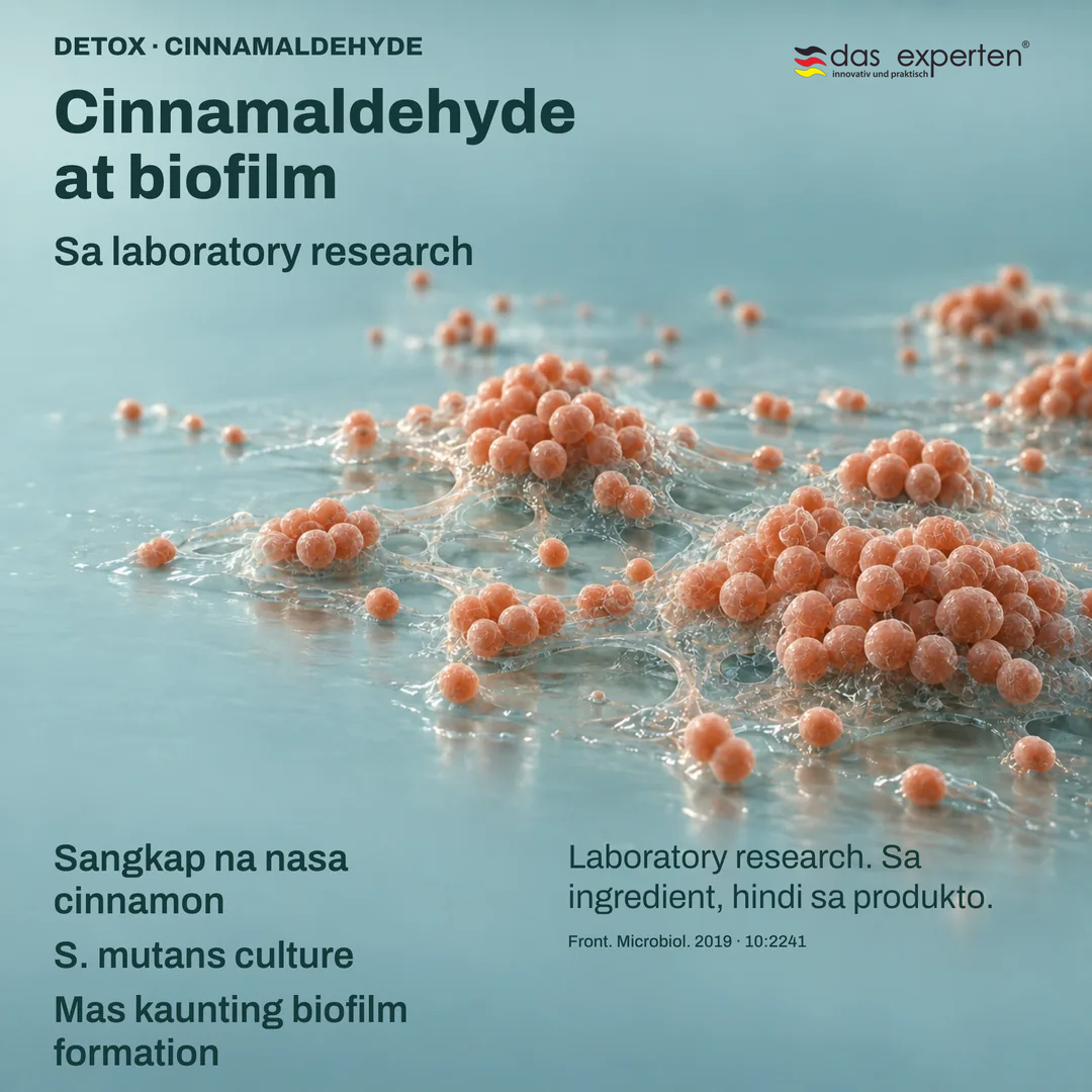 Ilustrasyon ng S. mutans culture na may cinnamaldehyde mula cinnamon: mas kaunting biofilm formation sa lab