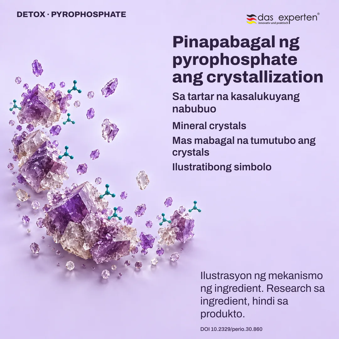 Ilustrasyon ng mineral crystals sa tartar na kasalukuyang nabubuo: pinapabagal ng pyrophosphate ang crystallization