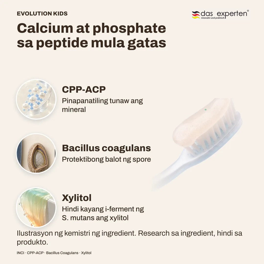 Calcium at phosphate sa peptide mula gatas · Bacillus coagulans · Xylitol