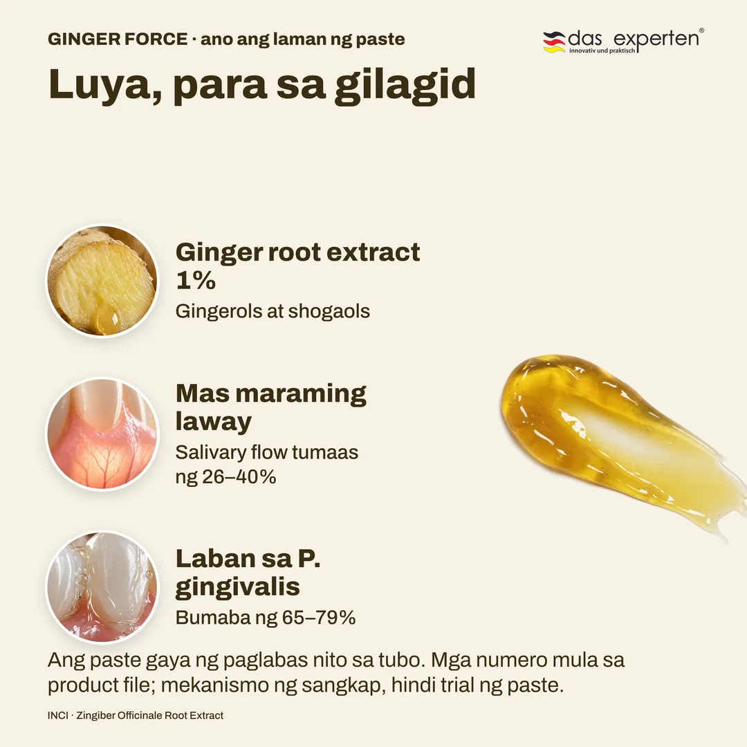 Luya, para sa gilagid, Ginger root extract 1%; Mas maraming laway; Laban sa P. gingivalis