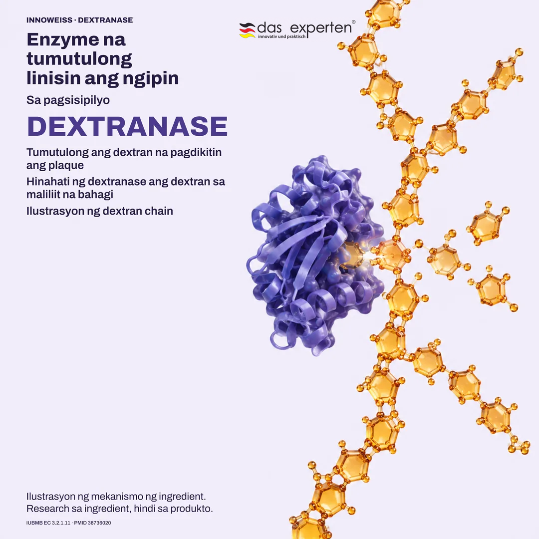 Ilustrasyon ng dextranase na hinahati ang dextran chain sa plaque: enzyme na tumutulong linisin ang ngipin
