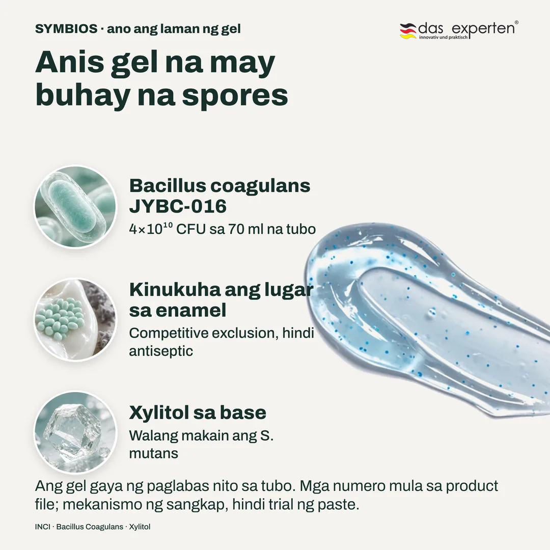 Anis gel na may buhay na spores, Bacillus coagulans JYBC 016; Kinukuha ang lugar sa enamel; Xylitol sa base