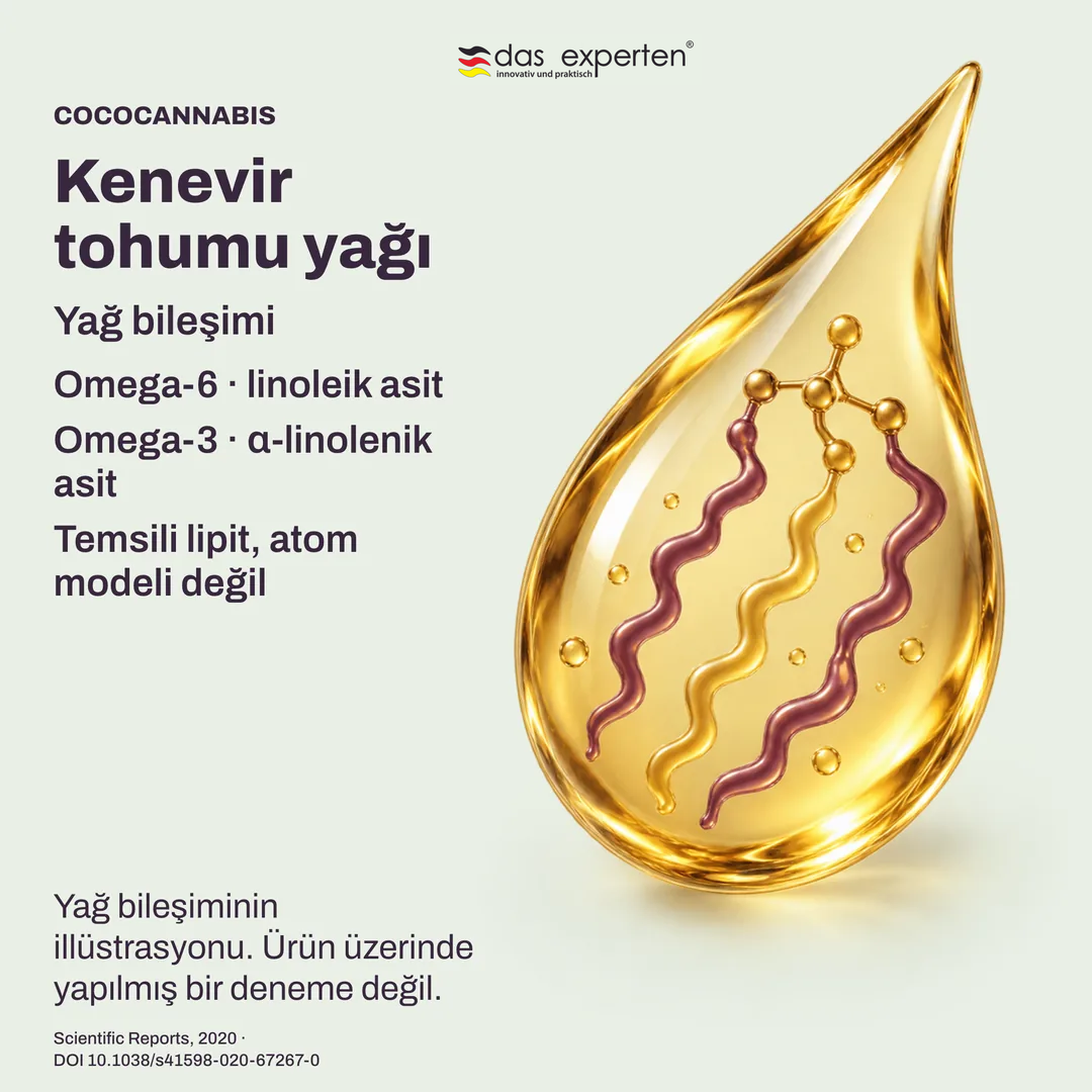 Omega 6 ve omega 3 bileşenleriyle kenevir tohumu yağı damlasının yağ bileşimi illüstrasyonu