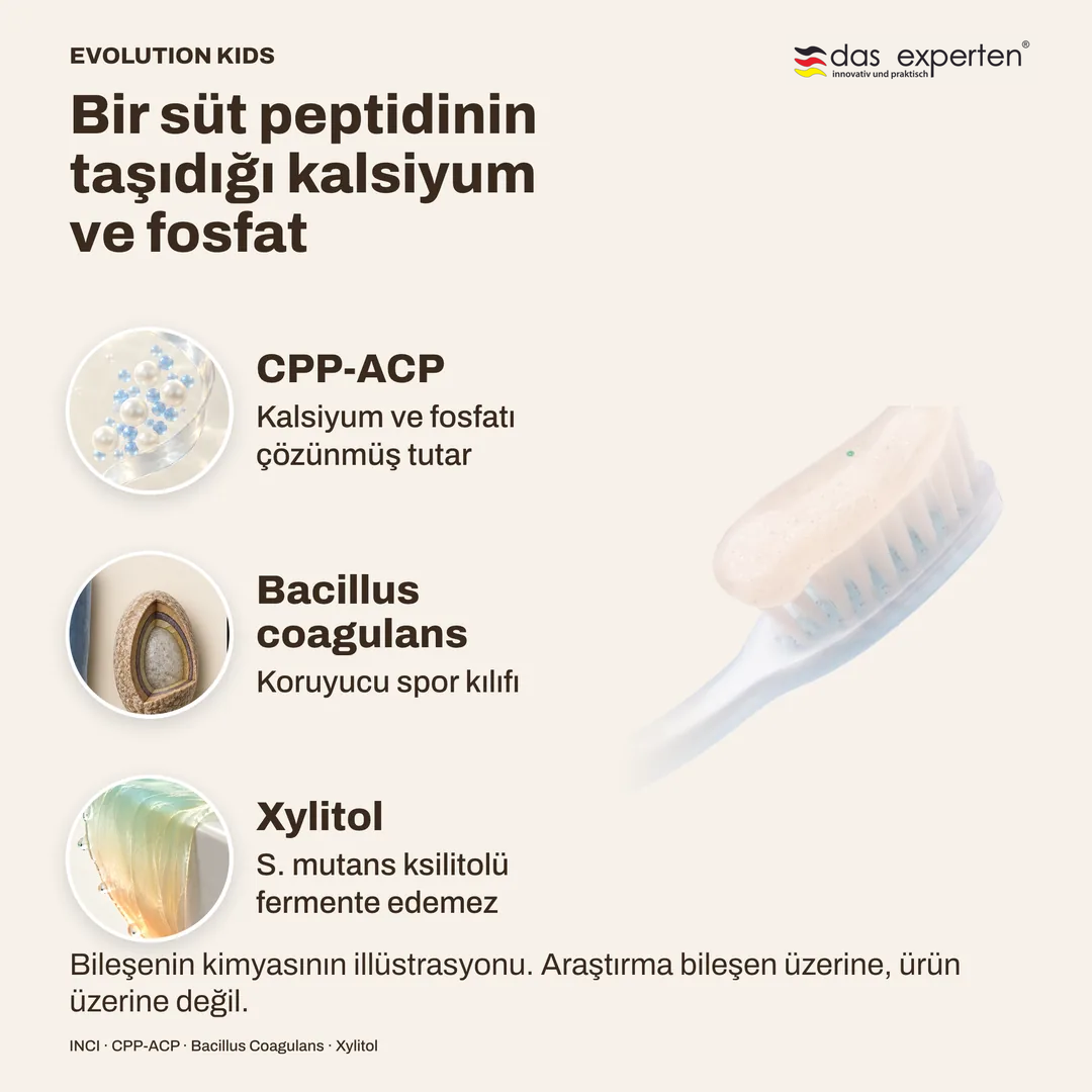Bir süt peptidinin taşıdığı kalsiyum ve fosfat · Bacillus coagulans · Xylitol