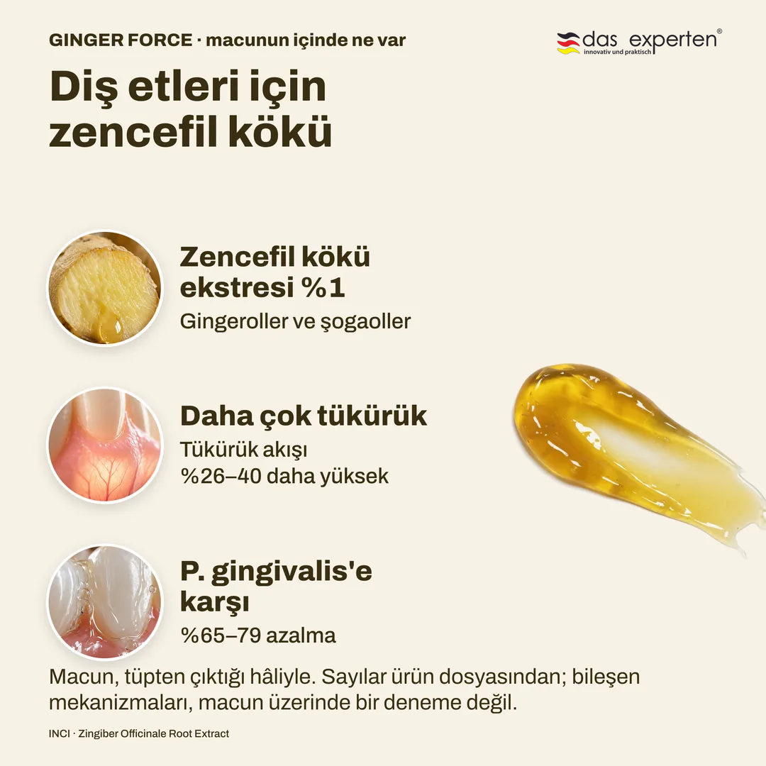 Diş etleri için zencefil kökü, Zencefil kökü ekstresi %1; Daha çok tükürük; P. gingivalis'e karşı